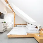 Spisz- 12 Osob, Basen, Sauna, Jacuzzi Affittacamere
