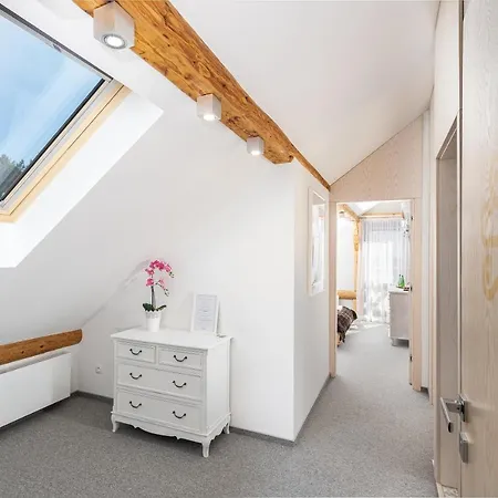 Spisz- 12 Osob, Basen, Sauna, Jacuzzi 3*