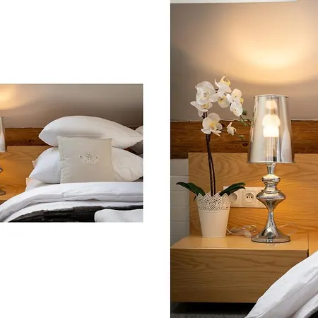 Pensionat Spisz- 12 Osob, Basen, Sauna, Jacuzzi 3*