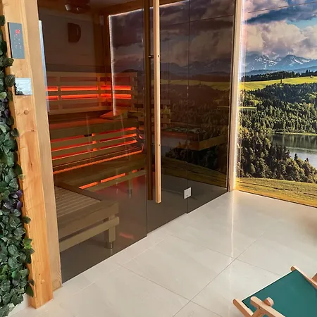 בית הארחה Spisz Dom 12 Osob, Podgrzewany Basen, Sauna, Jacuzzi- Velo Czorsztyn, 3*